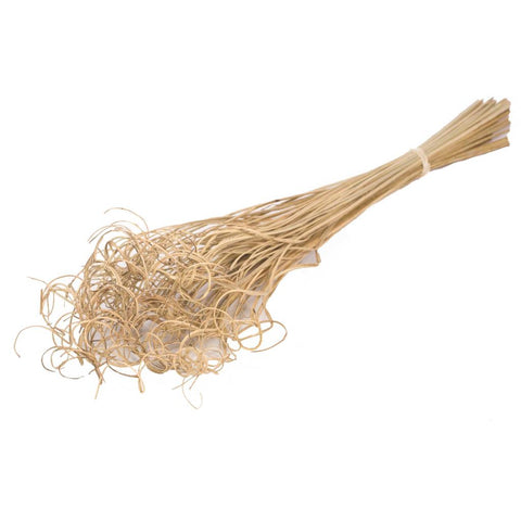 Curly ting ting (palm)