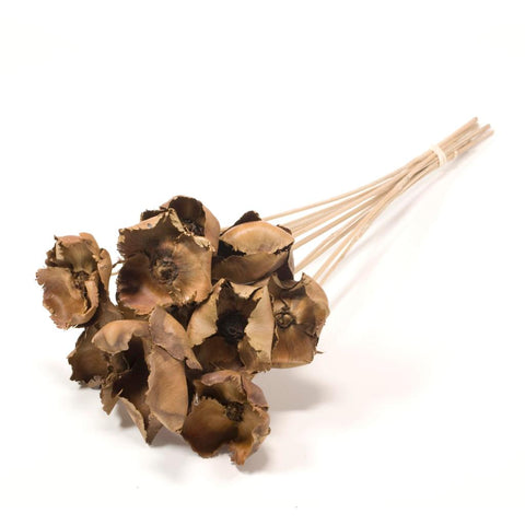 Palmcup on stem