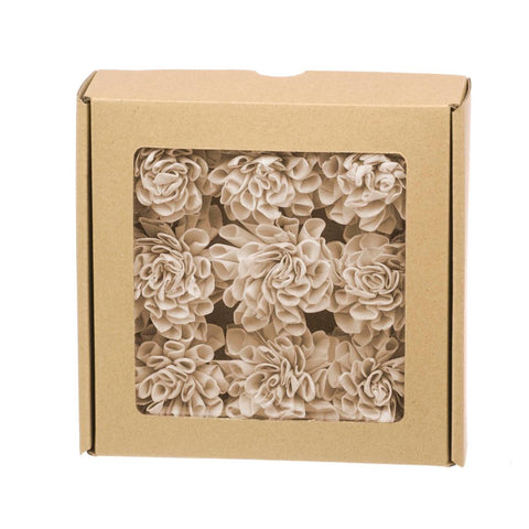 Sola rose 'Dahlia' show box