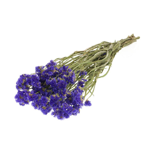 Statice sinuata