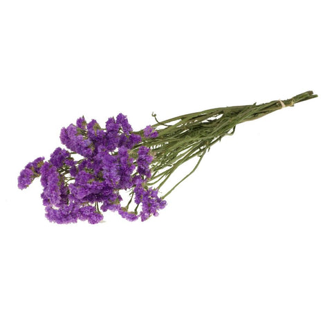 Statice sinuata