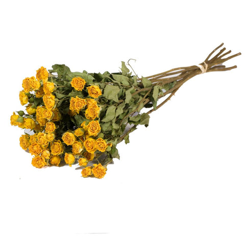 Roses spray