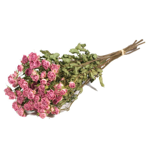 Roses spray
