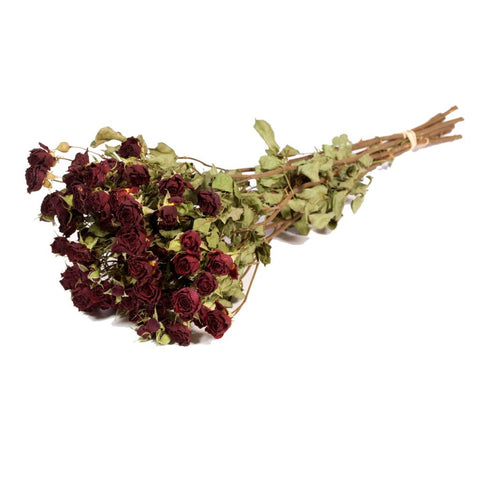 Roses spray