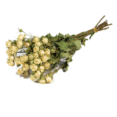 Roses spray