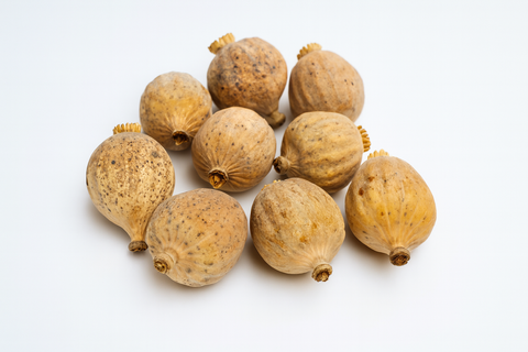 Dried Poppy Heads