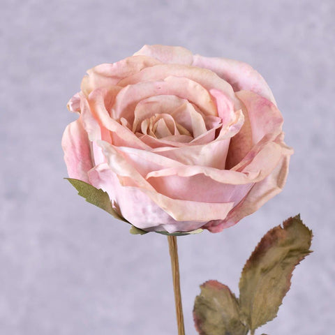 Faux Calista Rose in Pink Blush