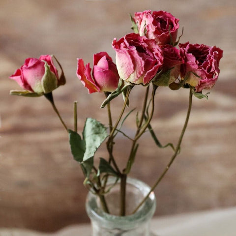 Sweetheart Dried Pink Rose Posy – A Timeless Token of Love