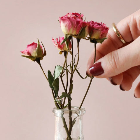Sweetheart Dried Pink Rose Posy – A Timeless Token of Love