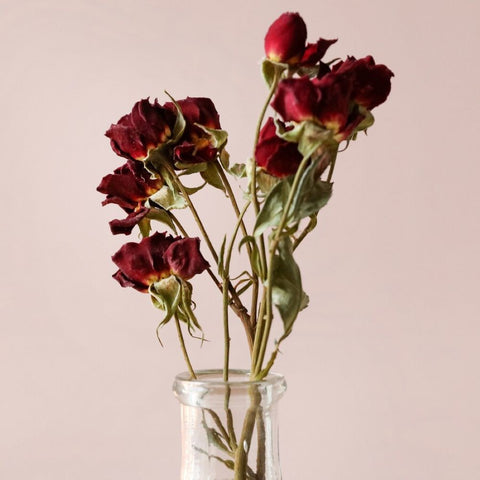 Petite Scarlet Dried Rose Posy – A Little Gesture of Love