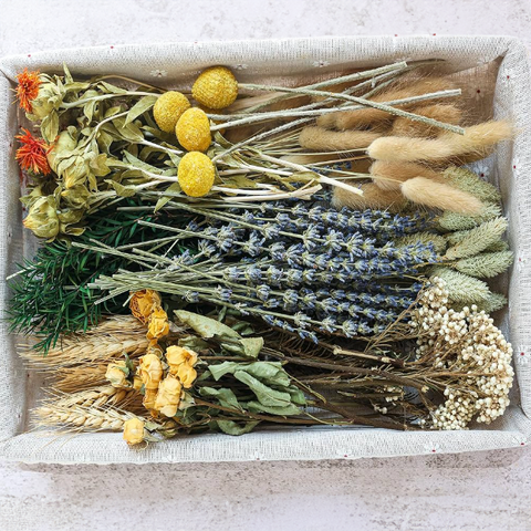 All Dried Flower Bunches