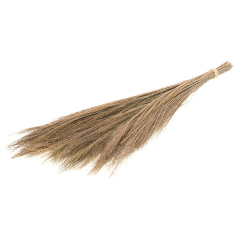 Broom grass 65cm