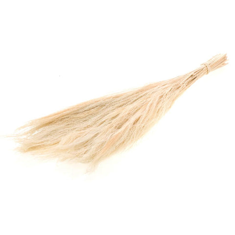 Broom grass 65cm