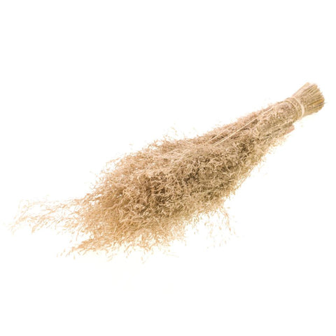 Munni grass