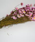 A bundle of dried pink flowers with yellow centers and brown stems, arranged diagonally on a plain white background.