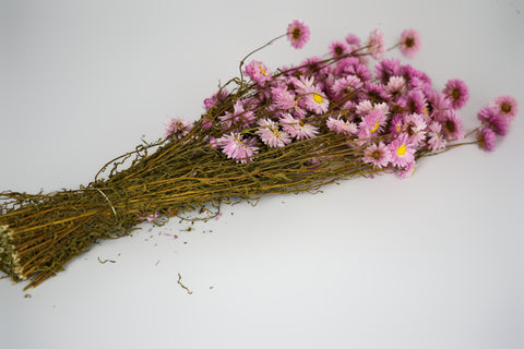 A bundle of dried pink flowers with yellow centers and brown stems, arranged diagonally on a plain white background.