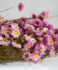 A cluster of dried pink flowers with yellow centers and brown stems, arranged on a plain white background.