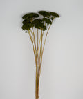 A single artificial plant stem with clustered dark green leaves and tan-brown stems, photographed against a plain light gray background.