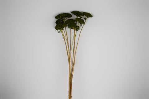 A single artificial plant stem with clustered dark green leaves and tan-brown stems, photographed against a plain light gray background.
