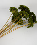 A bouquet of artificial green foliage stems with textured, fan-shaped leaves and long tan stems, arranged on a plain white background.