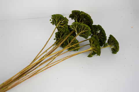 A bouquet of artificial green foliage stems with textured, fan-shaped leaves and long tan stems, arranged on a plain white background.