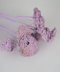 A close-up of dried flowers with delicate purple-blue flower heads and long stems, arranged on a plain light background.