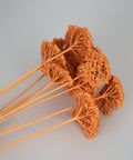 A cluster of dried orange ornamental grasses with long, slender stems, arranged on a light gray background.