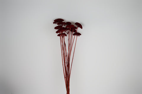 A bouquet of dried burgundy red flowers with long reddish-brown stems, arranged against a plain light gray background.
