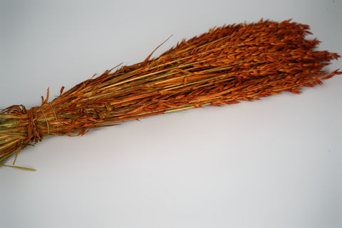 Haver (avena)