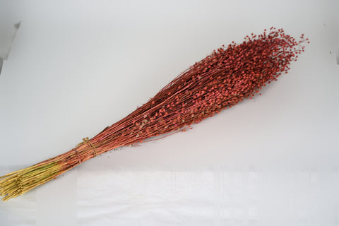 Lepidium atraxa