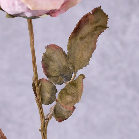 Faux Calista Rose in Pink Blush