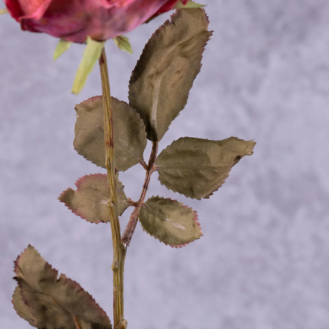 Garnet Red - Faux Rose Calista