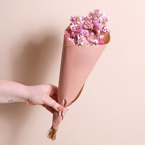 Eternal Blush Dried Pink Daisy Bunch