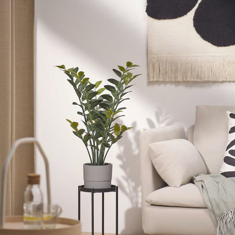 aroid palm plant Aroid Palm Potted – Fantastic Decor Floral