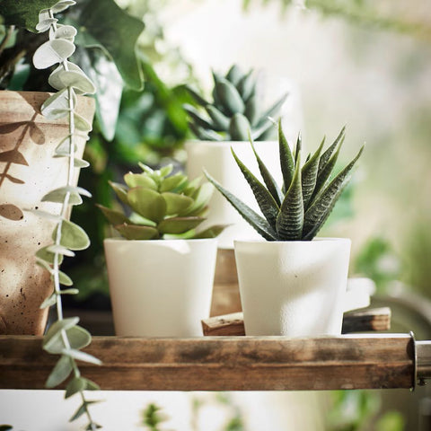fake potted succulents Set of 3 Artificial Succulent Potted Plants